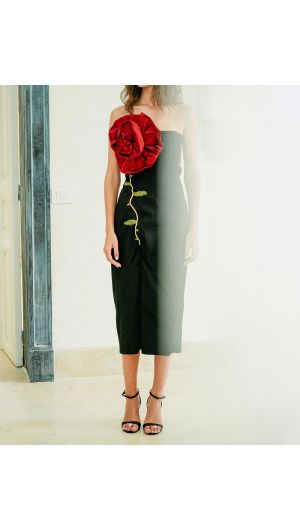 Rose des Vents Dress
