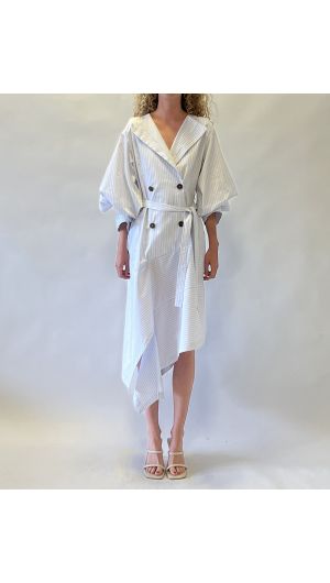 Alexandra Balloon Sleeve Dress