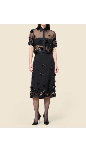 Embroidered Sheer Skirt